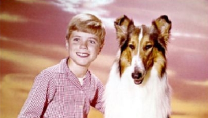 Timmy-Darsteller aus „Lassie“ spricht über seine Zeit in der bekannten TV-Serie